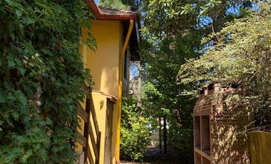 Departamento en Alquiler Temporal dos ambientes en Pinamar