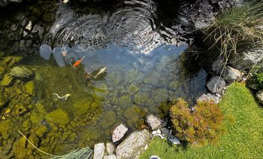 Casa Ideal en Bosques del Lago