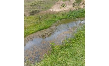 FINCA GUADUAS VEREDA CHIPAUTA