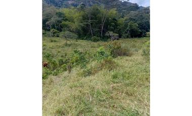 FINCA GUADUAS VEREDA CHIPAUTA