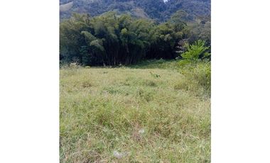 FINCA GUADUAS VEREDA CHIPAUTA