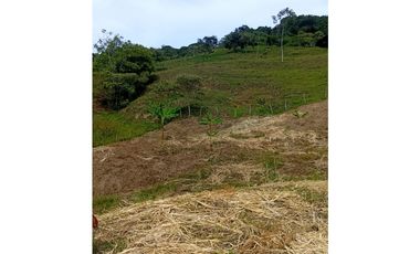 FINCA GUADUAS VEREDA CHIPAUTA