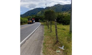 FINCA GUADUAS VEREDA CHIPAUTA