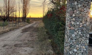 Finca en venta - 3 Dormitorios 2 Baños - General Alvear