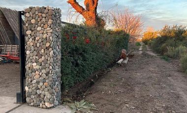 Finca en venta - 3 Dormitorios 2 Baños - General Alvear