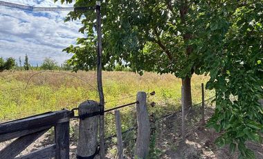 Finca en venta - 3 Dormitorios 2 Baños - General Alvear