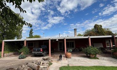 Finca en venta - 3 Dormitorios 2 Baños - General Alvear