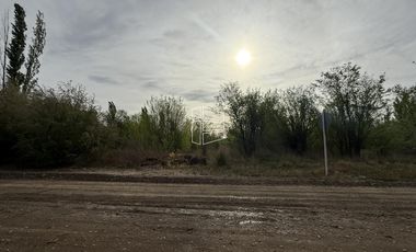 Venta - Chacra en General Roca - Excelente Ubicación -  R024