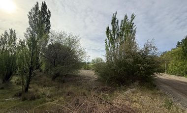 Venta - Chacra en General Roca - Excelente Ubicación -  R024