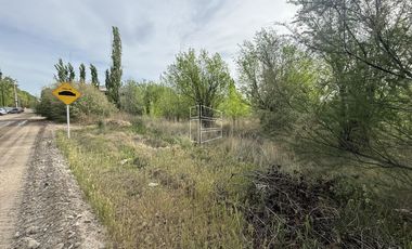 Venta - Chacra en General Roca - Excelente Ubicación -  R024