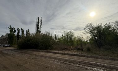 Venta - Chacra en General Roca - Excelente Ubicación -  R024