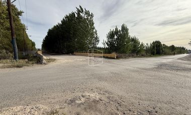 Venta - Chacra en General Roca - Excelente Ubicación -  R024