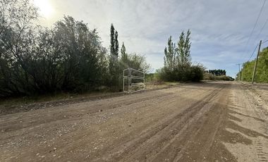 Venta - Chacra en General Roca - Excelente Ubicación -  R024