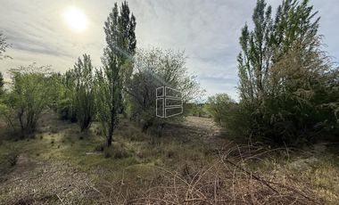 Venta - Chacra en General Roca - Excelente Ubicación -  R024