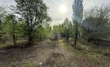 Venta - Chacra en General Roca - Excelente Ubicación -  R024