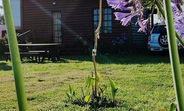 Casa en alquiler temporario - 1 Ambiente - Mar del Plata