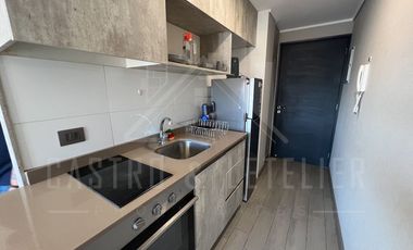 EN ARRIENDO DEPTO STUDIO AMOBLADO EN HOCHSTETTER