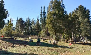 El Oasis Secreto con Piscina, Luz y APR. Precodillera Parral