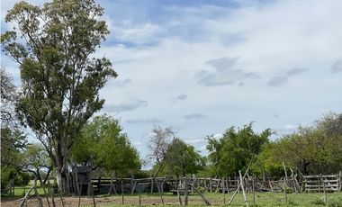 VENTA - CAMPO GANADERO CON CHACRA Y MONTE - SAN GUSTAVO, DTO. LA PAZ