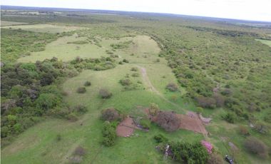 VENTA - CAMPO GANADERO CON CHACRA Y MONTE - SAN GUSTAVO, DTO. LA PAZ