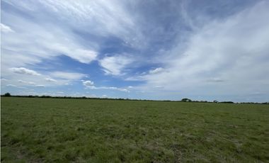 VENTA - CAMPO GANADERO CON CHACRA Y MONTE - SAN GUSTAVO, DTO. LA PAZ