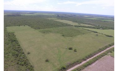 VENTA - CAMPO GANADERO CON CHACRA Y MONTE - SAN GUSTAVO, DTO. LA PAZ