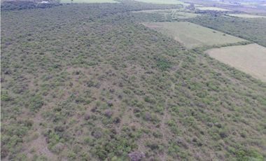 VENTA - CAMPO GANADERO CON CHACRA Y MONTE - SAN GUSTAVO, DTO. LA PAZ