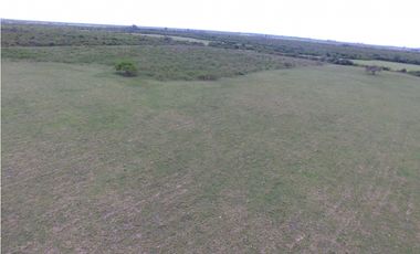 VENTA - CAMPO GANADERO CON CHACRA Y MONTE - SAN GUSTAVO, DTO. LA PAZ
