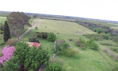 VENTA - CAMPO GANADERO CON CHACRA Y MONTE - SAN GUSTAVO, DTO. LA PAZ