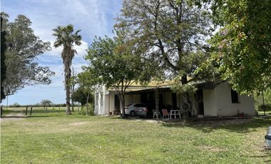 VENTA - CAMPO GANADERO CON CHACRA Y MONTE - SAN GUSTAVO, DTO. LA PAZ