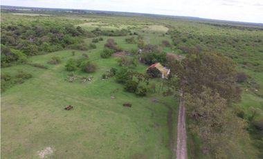 VENTA - CAMPO GANADERO CON CHACRA Y MONTE - SAN GUSTAVO, DTO. LA PAZ