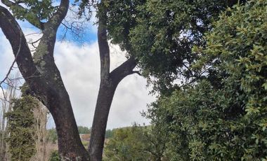 Parcela en venta en LOS ANGELES