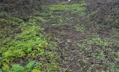 Parcela en venta en LOS ANGELES