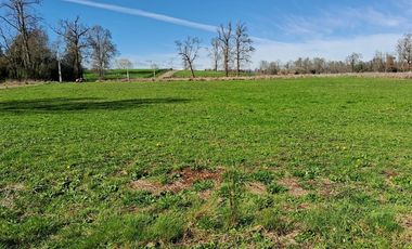 Parcela en Venta en Venta Parcela Loteo Bosques del Tijeral Osorno