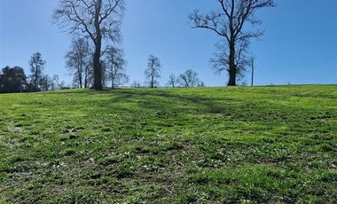 Parcela en Venta en Venta Parcela Loteo Bosques del Tijeral Osorno