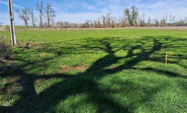 Parcela en Venta en Venta Parcela Loteo Bosques del Tijeral Osorno