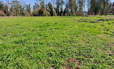Parcela en Venta en Venta Parcela Loteo Bosques del Tijeral Osorno
