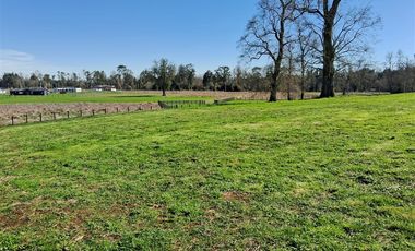 Parcela en Venta en Venta Parcela Loteo Bosques del Tijeral Osorno