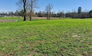 Parcela en Venta en Venta Parcela Loteo Bosques del Tijeral Osorno