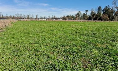 Parcela en Venta en Venta Parcela Loteo Bosques del Tijeral Osorno