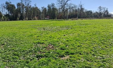 Parcela en Venta en Venta Parcela Loteo Bosques del Tijeral Osorno