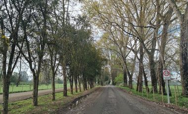 Parcela en Venta en Venta Parcela Loteo Bosques del Tijeral Osorno