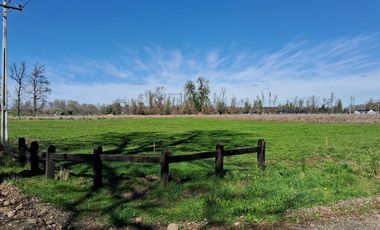 Parcela en Venta en Venta Parcela Loteo Bosques del Tijeral Osorno