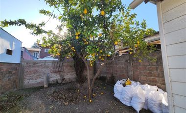 Local Comercial en Arriendo en O'Higgins 371