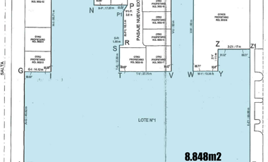 Sitio en Arriendo en NUEVA EXTREMADURA // LOTE 4