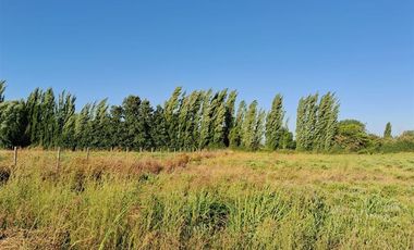 Parcela en Venta en PENCAHUE CENTRAL