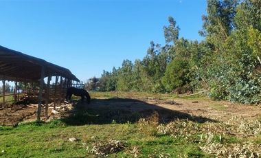 Parcela en Venta en TRIGAL NORTE / CAMINO A VALPARAISO