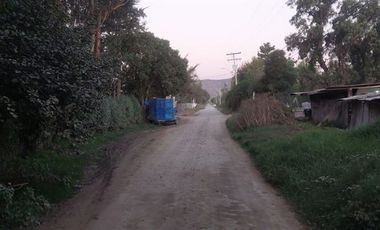 Parcela en Venta en TRIGAL NORTE / CAMINO A VALPARAISO