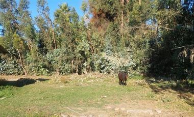 Parcela en Venta en TRIGAL NORTE / CAMINO A VALPARAISO
