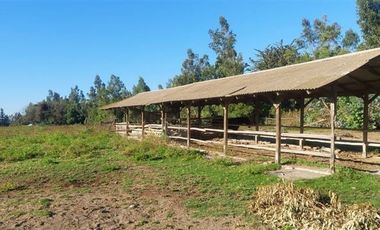 Parcela en Venta en TRIGAL NORTE / CAMINO A VALPARAISO